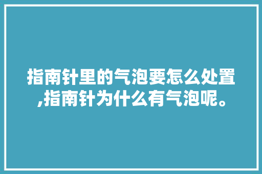 指南针里的气泡要怎么处置,指南针为什么有气泡呢。 指南针里的气泡要怎么处置,指南针为什么有气泡呢。 搜狗SEO