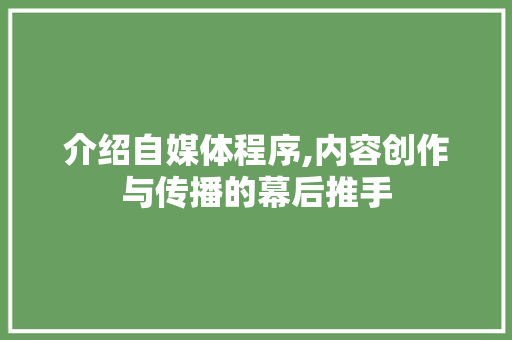 介绍自媒体程序,内容创作与传播的幕后推手 介绍自媒体程序,内容创作与传播的幕后推手 SEO关键词