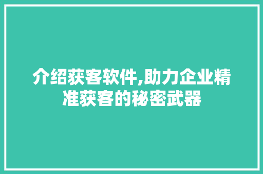 介绍获客软件,助力企业精准获客的秘密武器 介绍获客软件,助力企业精准获客的秘密武器 网站建设公司