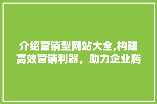 介绍营销型网站大全,构建高效营销利器，助力企业腾飞 介绍营销型网站大全,构建高效营销利器，助力企业腾飞 SEO关键词