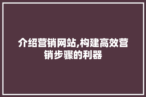 介绍营销网站,构建高效营销步骤的利器