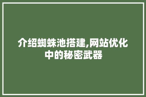 介绍蜘蛛池搭建,网站优化中的秘密武器