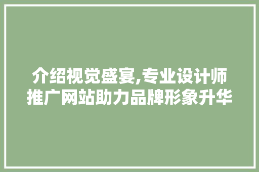 介绍视觉盛宴,专业设计师推广网站助力品牌形象升华