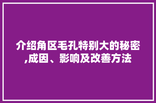 介绍角区毛孔特别大的秘密,成因、影响及改善方法 介绍角区毛孔特别大的秘密,成因、影响及改善方法 百度SEO