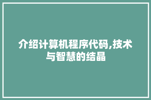 介绍计算机程序代码,技术与智慧的结晶 介绍计算机程序代码,技术与智慧的结晶 SEO关键词