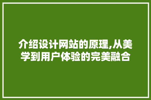 介绍设计网站的原理,从美学到用户体验的完美融合 介绍设计网站的原理,从美学到用户体验的完美融合 SEO关键词