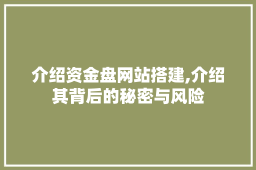 介绍资金盘网站搭建,介绍其背后的秘密与风险 介绍资金盘网站搭建,介绍其背后的秘密与风险 搜狗SEO