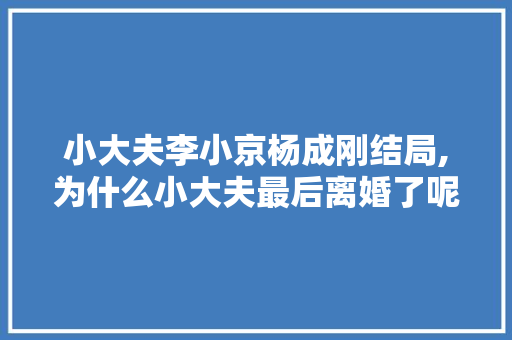 小大夫李小京杨成刚结局,为什么小大夫最后离婚了呢。 小大夫李小京杨成刚结局,为什么小大夫最后离婚了呢。 网站建设公司