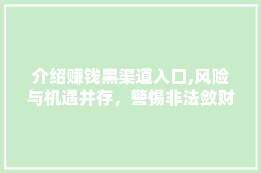 介绍赚钱黑渠道入口,风险与机遇并存，警惕非法敛财陷阱