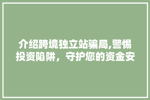 介绍跨境独立站骗局,警惕投资陷阱，守护您的资金安全 介绍跨境独立站骗局,警惕投资陷阱，守护您的资金安全 神马SEO
