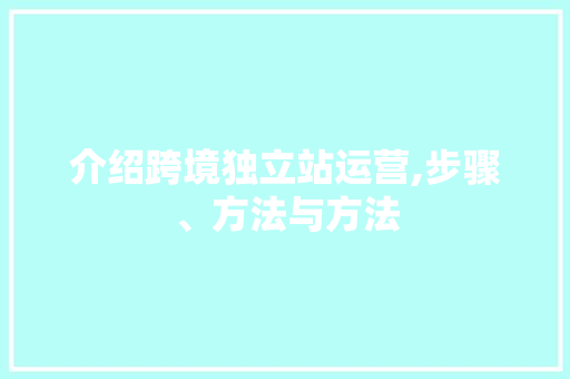 介绍跨境独立站运营,步骤、方法与方法 介绍跨境独立站运营,步骤、方法与方法 网站建设公司