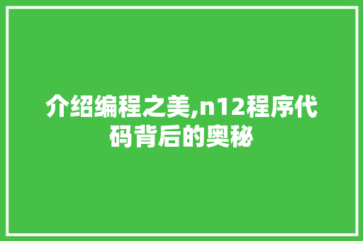 介绍编程之美,n12程序代码背后的奥秘 介绍编程之美,n12程序代码背后的奥秘 网站建设公司