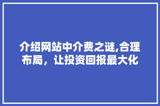 介绍网站中介费之谜,合理布局，让投资回报最大化 介绍网站中介费之谜,合理布局，让投资回报最大化 SEO关键词