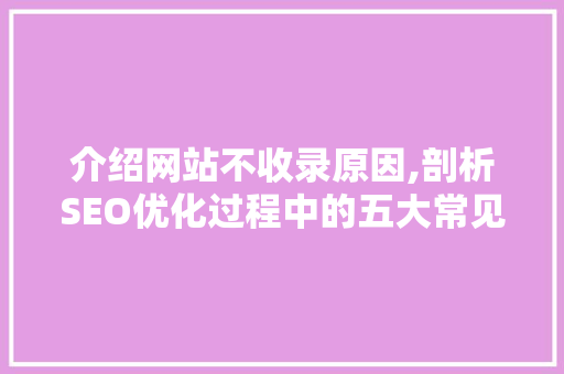 介绍网站不收录原因,剖析SEO优化过程中的五大常见问题