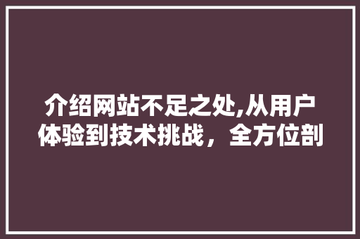 介绍网站不足之处,从用户体验到技术挑战，全方位剖析 介绍网站不足之处,从用户体验到技术挑战，全方位剖析 SEO关键词