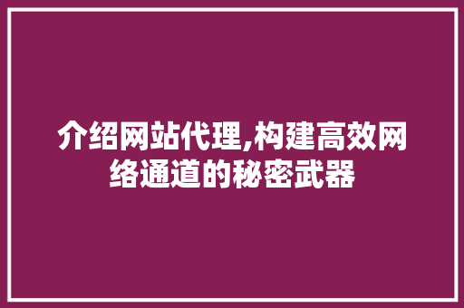 介绍网站代理,构建高效网络通道的秘密武器 介绍网站代理,构建高效网络通道的秘密武器 必应SEO