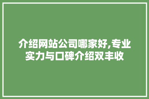 介绍网站公司哪家好,专业实力与口碑介绍双丰收 介绍网站公司哪家好,专业实力与口碑介绍双丰收 SEO关键词