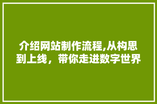 介绍网站制作流程,从构思到上线，带你走进数字世界的构建之路 介绍网站制作流程,从构思到上线，带你走进数字世界的构建之路 网站建设公司