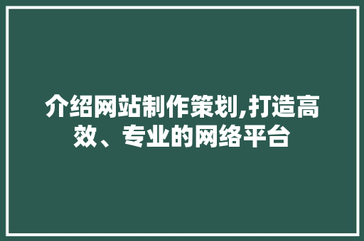 介绍网站制作策划,打造高效、专业的网络平台 介绍网站制作策划,打造高效、专业的网络平台 必应SEO