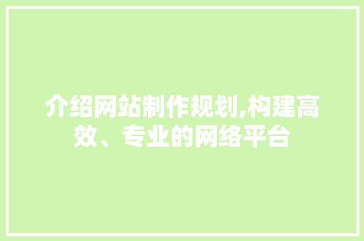 介绍网站制作规划,构建高效、专业的网络平台