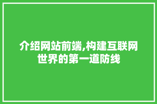 介绍网站前端,构建互联网世界的第一道防线 介绍网站前端,构建互联网世界的第一道防线 SEO关键词