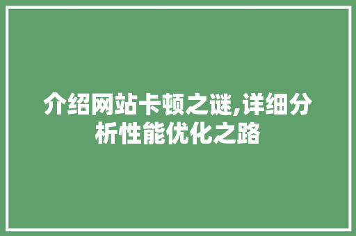介绍网站卡顿之谜,详细分析性能优化之路 介绍网站卡顿之谜,详细分析性能优化之路 必应SEO