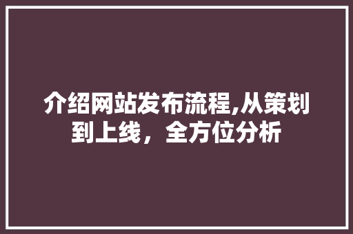 介绍网站发布流程,从策划到上线，全方位分析 介绍网站发布流程,从策划到上线，全方位分析 神马SEO