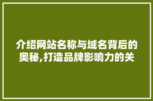 介绍网站名称与域名背后的奥秘,打造品牌影响力的关键要素 介绍网站名称与域名背后的奥秘,打造品牌影响力的关键要素 网站建设公司