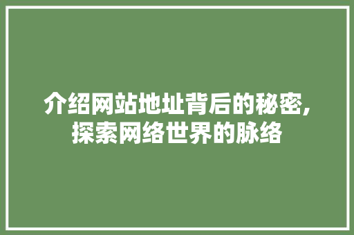 介绍网站地址背后的秘密,探索网络世界的脉络 介绍网站地址背后的秘密,探索网络世界的脉络 必应SEO