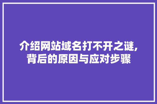 介绍网站域名打不开之谜,背后的原因与应对步骤 介绍网站域名打不开之谜,背后的原因与应对步骤 必应SEO