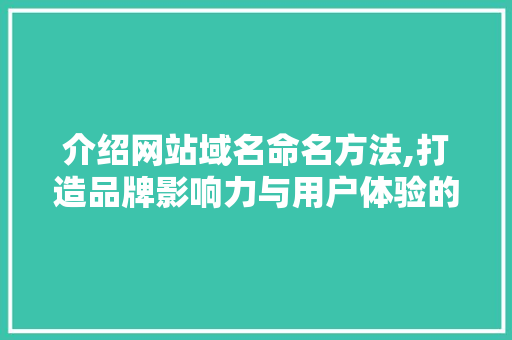 介绍网站域名命名方法,打造品牌影响力与用户体验的双重胜利 介绍网站域名命名方法,打造品牌影响力与用户体验的双重胜利 SEO关键词
