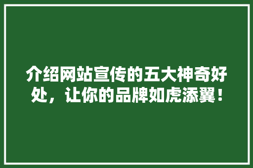 介绍网站宣传的五大神奇好处，让你的品牌如虎添翼！ 介绍网站宣传的五大神奇好处，让你的品牌如虎添翼！ 百度SEO