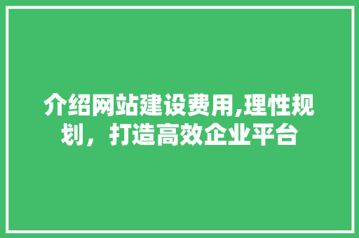 介绍网站建设费用,理性规划，打造高效企业平台 介绍网站建设费用,理性规划，打造高效企业平台 神马SEO