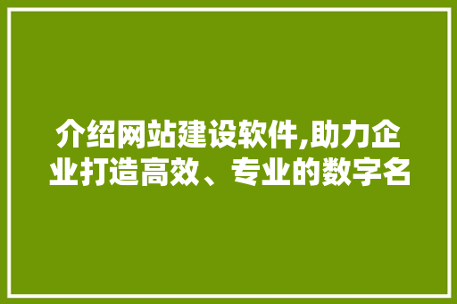 介绍网站建设软件,助力企业打造高效、专业的数字名片 介绍网站建设软件,助力企业打造高效、专业的数字名片 SEO关键词
