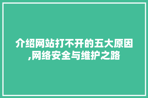 介绍网站打不开的五大原因,网络安全与维护之路 介绍网站打不开的五大原因,网络安全与维护之路 SEO关键词