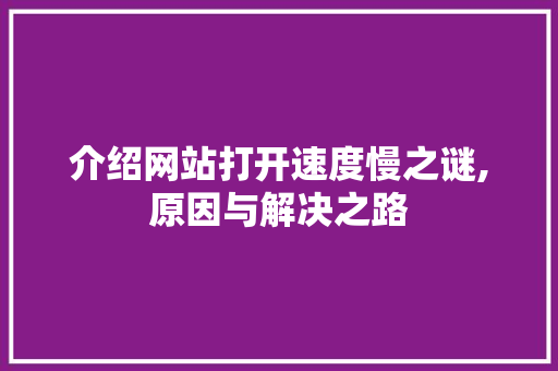 介绍网站打开速度慢之谜,原因与解决之路 介绍网站打开速度慢之谜,原因与解决之路 SEO关键词