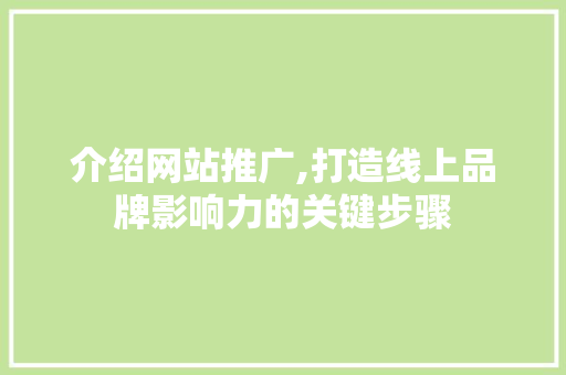 介绍网站推广,打造线上品牌影响力的关键步骤 介绍网站推广,打造线上品牌影响力的关键步骤 神马SEO