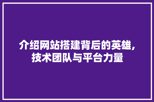 介绍网站搭建背后的英雄,技术团队与平台力量 介绍网站搭建背后的英雄,技术团队与平台力量 必应SEO