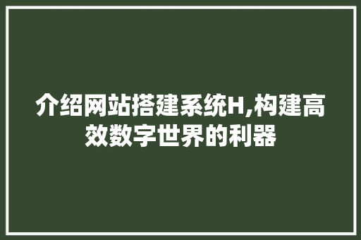 介绍网站搭建系统H,构建高效数字世界的利器 介绍网站搭建系统H,构建高效数字世界的利器 必应SEO