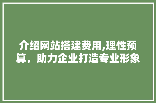 介绍网站搭建费用,理性预算，助力企业打造专业形象 介绍网站搭建费用,理性预算，助力企业打造专业形象 SEO关键词