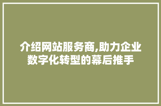 介绍网站服务商,助力企业数字化转型的幕后推手 介绍网站服务商,助力企业数字化转型的幕后推手 SEO关键词