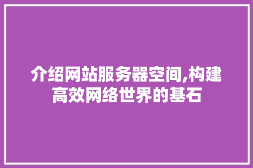 介绍网站服务器空间,构建高效网络世界的基石 介绍网站服务器空间,构建高效网络世界的基石 神马SEO