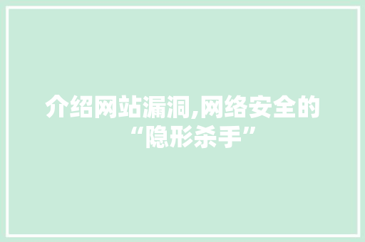 介绍网站漏洞,网络安全的“隐形杀手” 介绍网站漏洞,网络安全的“隐形杀手” 必应SEO