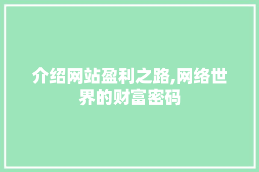 介绍网站盈利之路,网络世界的财富密码