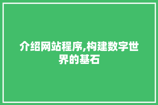 介绍网站程序,构建数字世界的基石 介绍网站程序,构建数字世界的基石 神马SEO