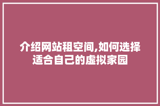 介绍网站租空间,如何选择适合自己的虚拟家园
