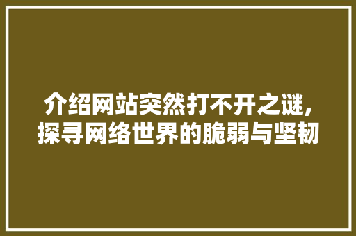 介绍网站突然打不开之谜,探寻网络世界的脆弱与坚韧