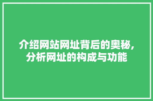 介绍网站网址背后的奥秘,分析网址的构成与功能 介绍网站网址背后的奥秘,分析网址的构成与功能 必应SEO