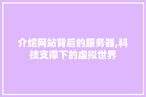 介绍网站背后的服务器,科技支撑下的虚拟世界 介绍网站背后的服务器,科技支撑下的虚拟世界 神马SEO
