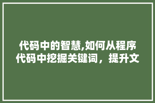 代码中的智慧,如何从程序代码中挖掘关键词，提升文章质量 代码中的智慧,如何从程序代码中挖掘关键词，提升文章质量 网站建设公司
